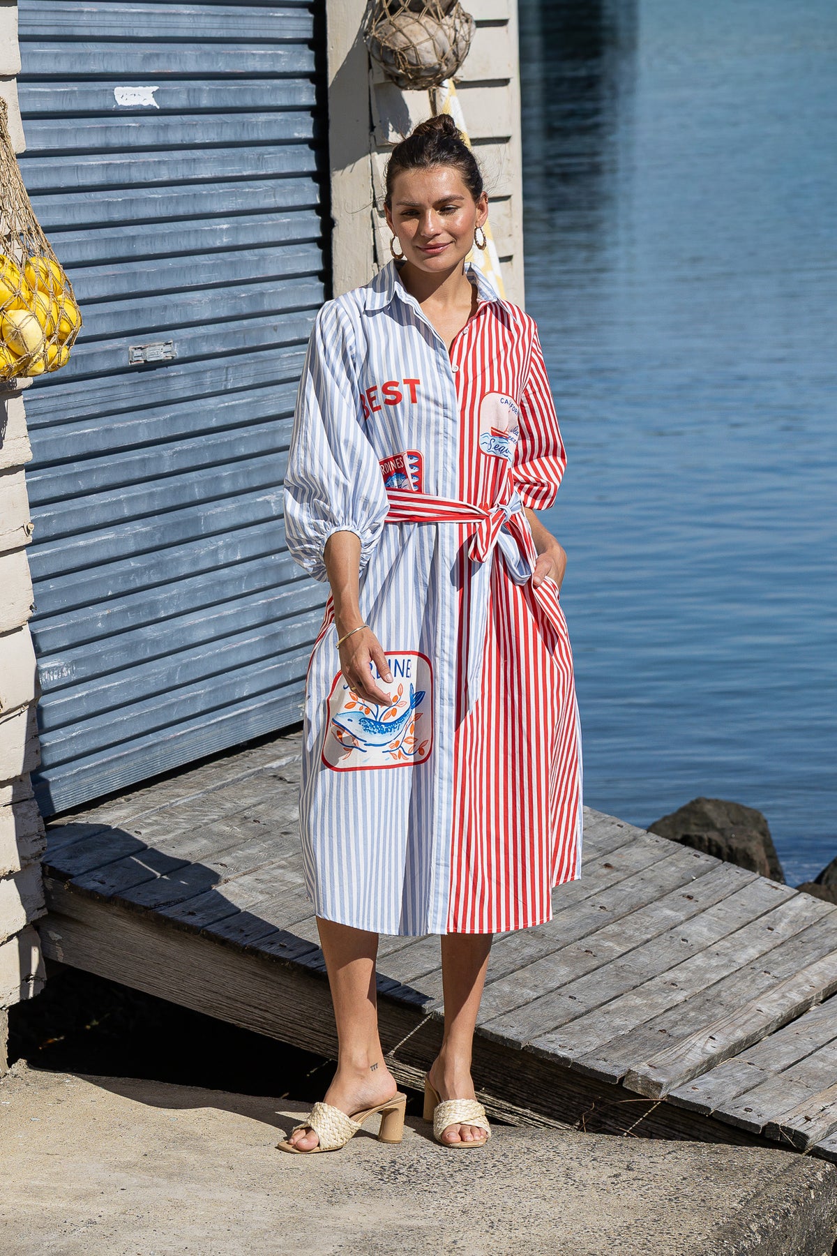 Sardine Striped Shirt Dress