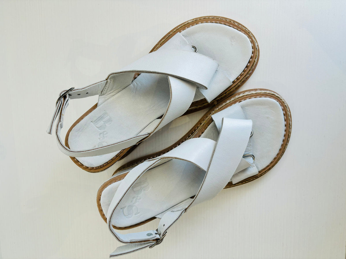 Willow Wedges